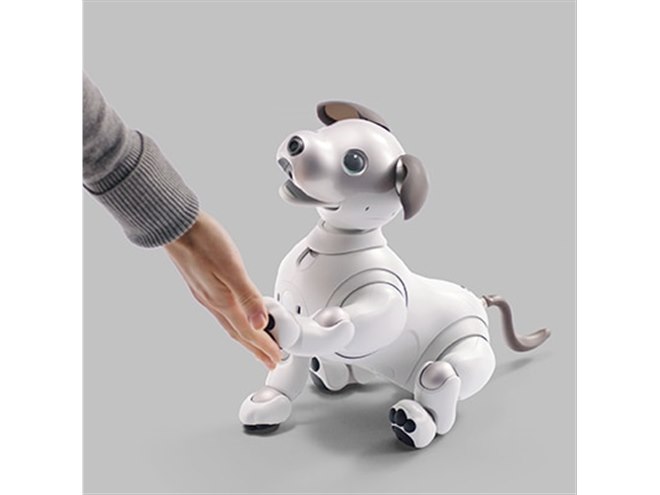 ソニーが「aibo（アイボ）」の予約販売を7/19開始、すべての希望者に