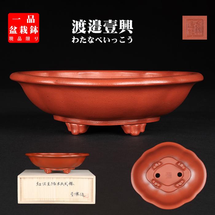 盆栽鉢 「壱興紅泥木瓜式鉢」 植木鉢 作家鉢 一弘 壱興造記 常滑 共箱