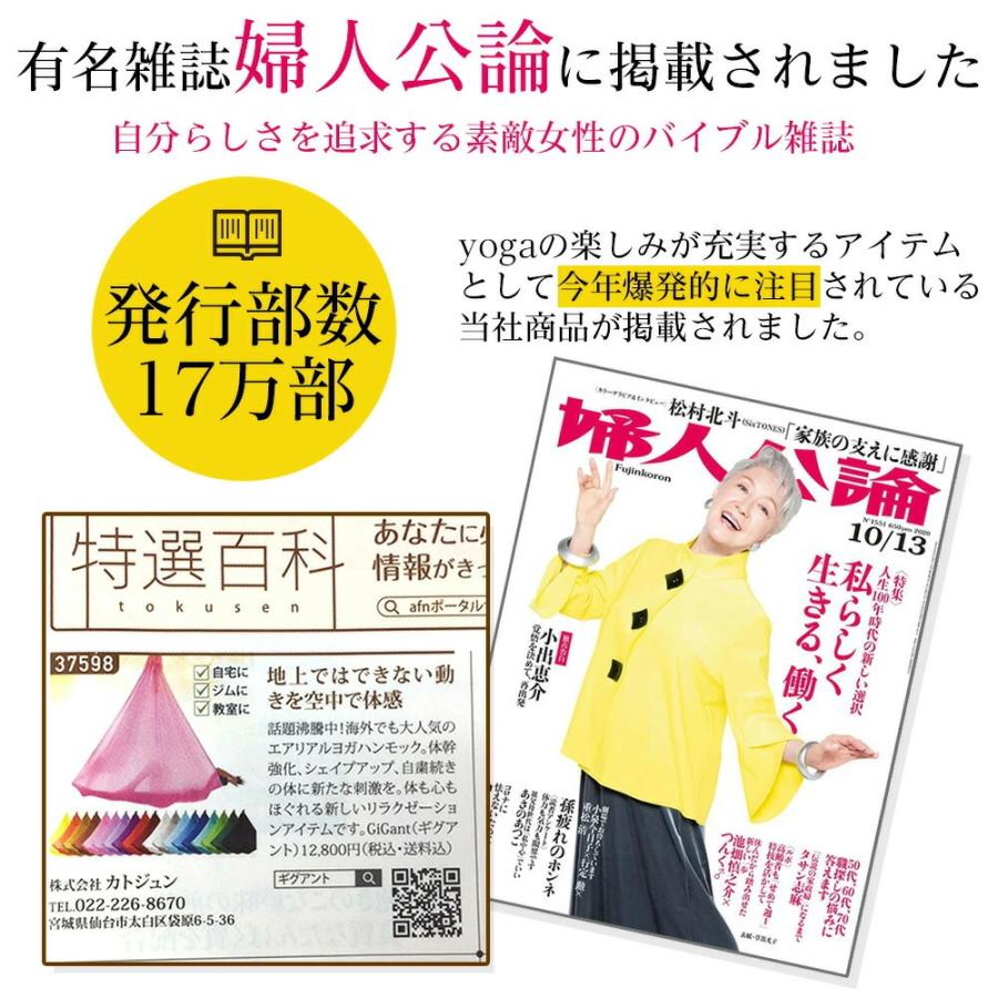 GiGant公式 エアリアルヨガ フルセット グラデーション 空中ヨガ 金具