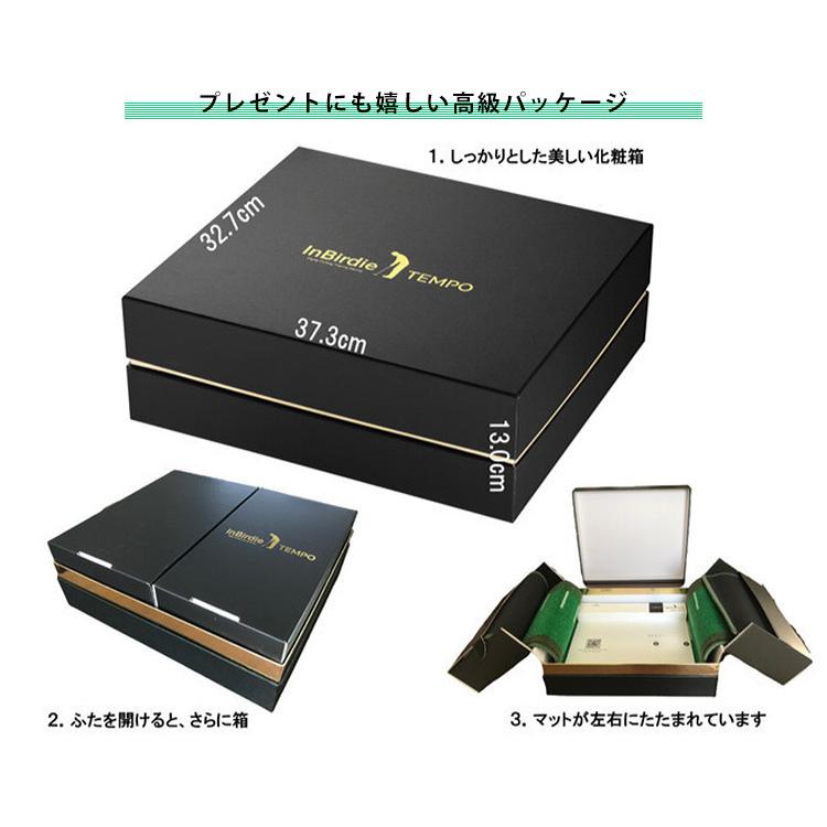 正規販売店 Inbirdie TEMPO デジタルパット練習機 インバーディー