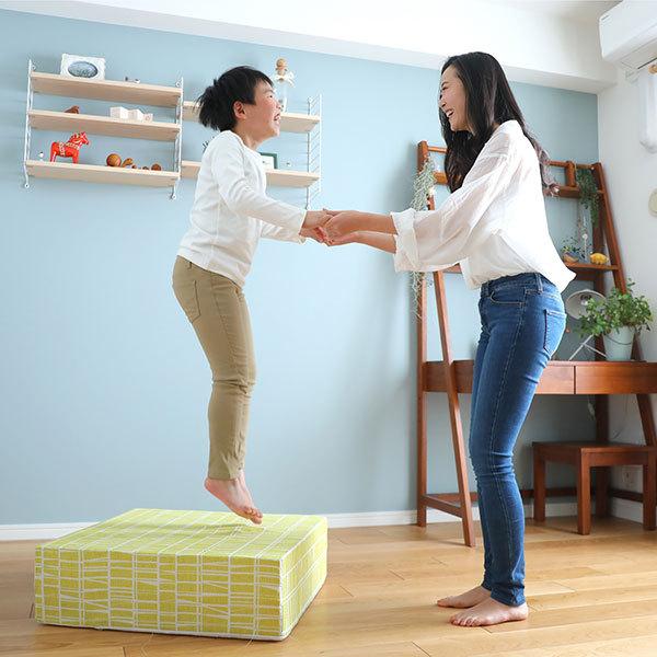 ピーエーエス TOVOCCA（トボッカ） ホームフィットネスクッション 1台