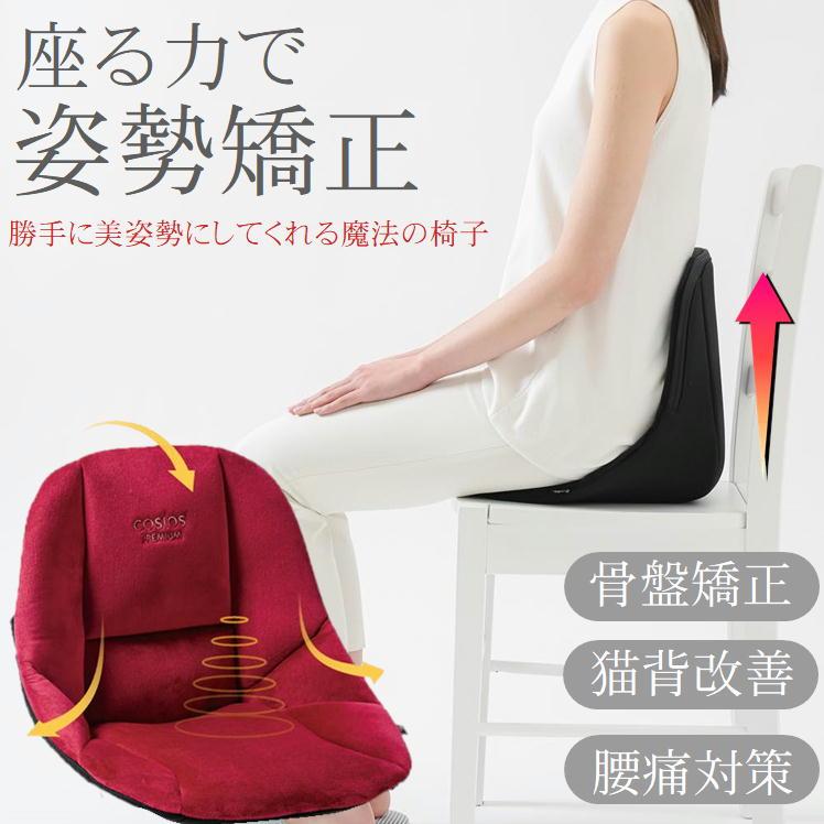 姿勢 矯正 クッション 姿勢が良くなる 椅子 骨盤 ゆがみ 猫背 下腹