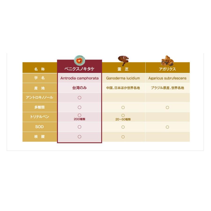 ベニクスノキタケ アントロキノノール サプリメント 紅敏風 （こうびん