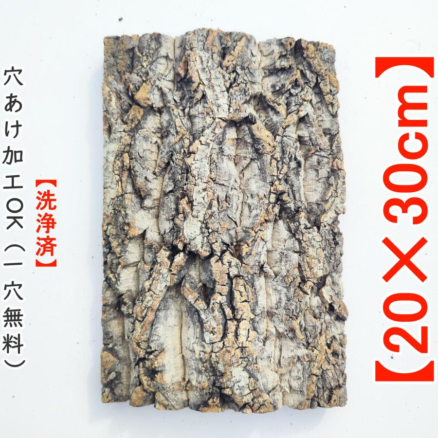 1枚 20×30cm コルク樹皮 コルク板 バージンコルク コルクボード 送料
