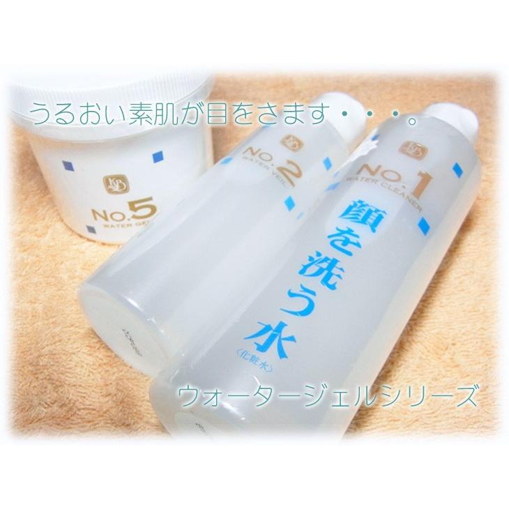 カミヤマ美研 No.1 ウォータークリーナー 1000ml 顔を洗う水 : 沖縄