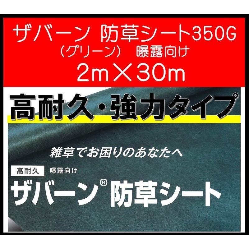 DuPont（デュポン） ザバーン デュポン社 防草シート 350G 2m×30m XA
