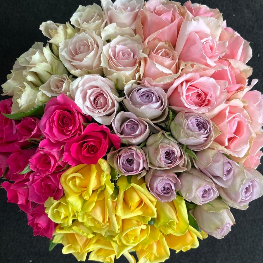農園直送！！(バラ・切り花・生花)おまかせMIX 30センチ 50本 鮮度抜群