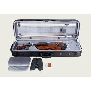 ARIA AM-20E(ハードケース+DVD付) フラットマンドリン/ピックアップを