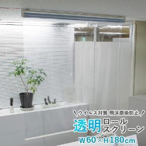 タチカワブラインド 【最大☆10%オフクーポン】 透明シート 透明ロール