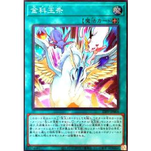 遊戯王オフィシャルカードゲーム デュエルモンスターズ 遊戯王カード