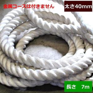 ターザンロープ 登り綱 ビニロン 40mm×3m DIY 家庭用 クライミング