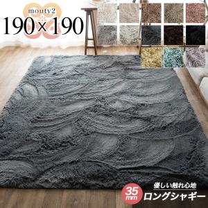 Tsujikawa カーペット ラグ 185 トラ アニマル 防炎 洗える 洗濯 床暖