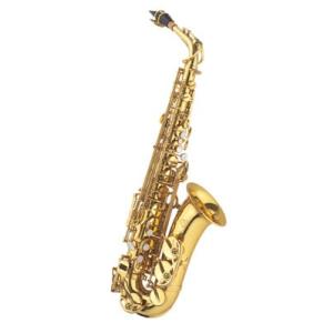 極美品】J.Michael AL-980GMアルトサックス 初心者 入門セット J