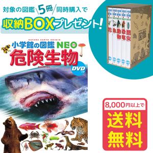 小学館の図鑑NEO［新版］動物 DVDつき（収納BOX付・送料無料・条件有