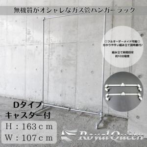 ガス管 ハンガーラック 2段式 タイプF 約W108cm×H188cm : Royal