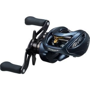 DAIWA（ダイワ） 24スティーズSV TW 100-XHL (左ハンドル） : KK