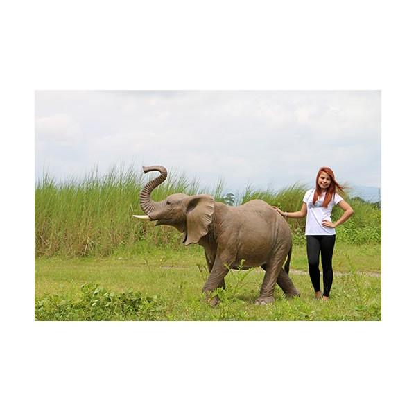 アニマルビッグフィギュア【子象】B（等身大フィギュア・ゾウ） ※この