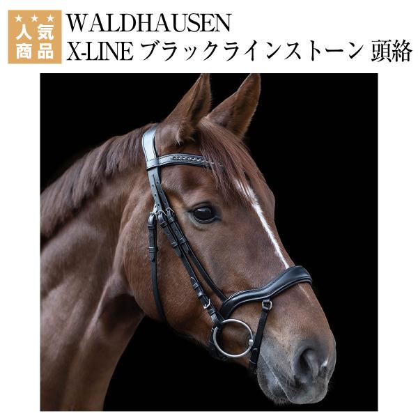 乗馬 頭絡 額革 WALDHAUSEN X-LINE ブラックラインストーン 頭絡（手綱