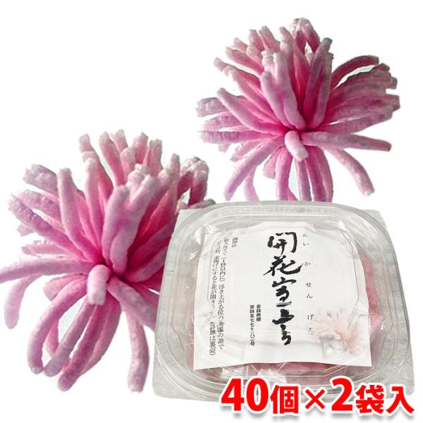 promart-jp_62010568-2