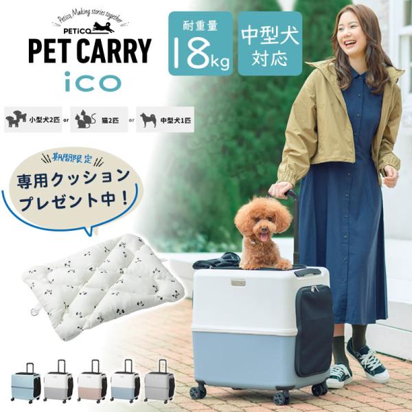 大サイズラスト1匹・希少限定・新品・日本製】子犬のるーく L
