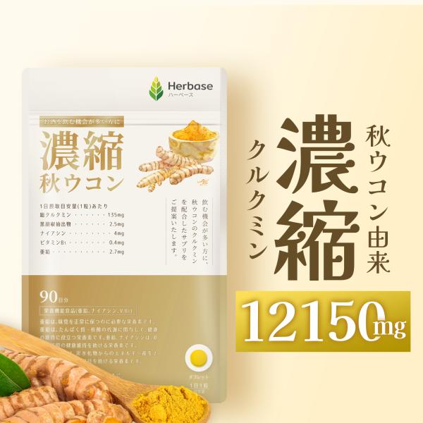 ウコン サプリ クルクミン 12150mg配合 (90日分) 秋ウコン 錠剤