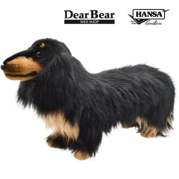 ダックスフンド ハーバード大学 カレッジドール カレッジマスコット