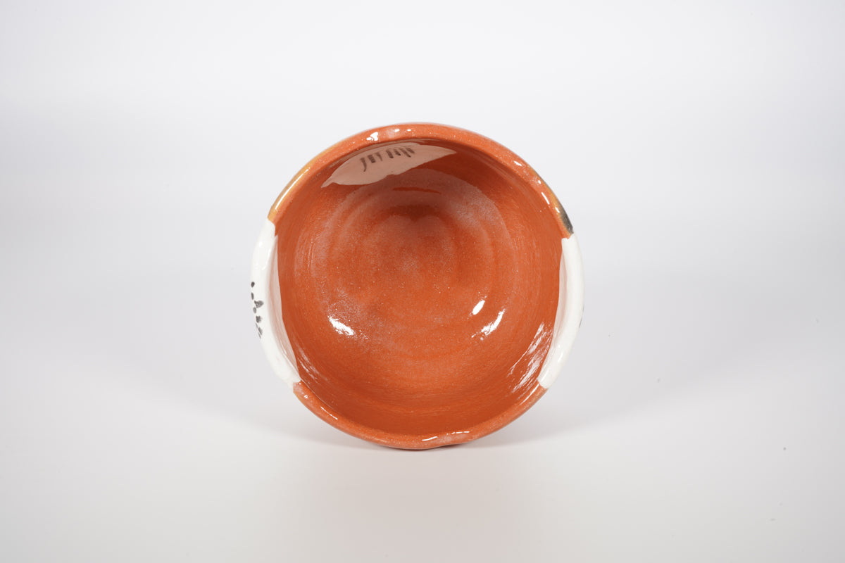 赤楽 乾山写椿 向付