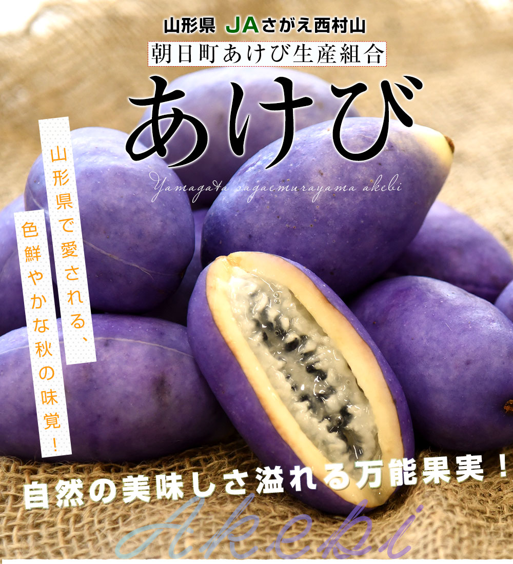 山形県 JAさがえ西村山 朝日町あけび生産組合 あけび 秀品 2LからS