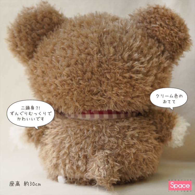 スペース田中限定！！くまちゃん入荷 | フジグラン北島