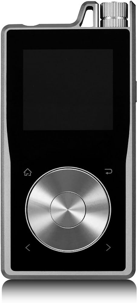 Amazon.co.jp: Questyle QP2R ポータブルDAP (スペースグレー) : 家電