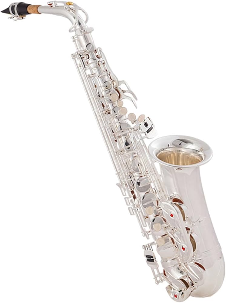 Amazon | プロフェッショナル サックス シルバーリング アルト