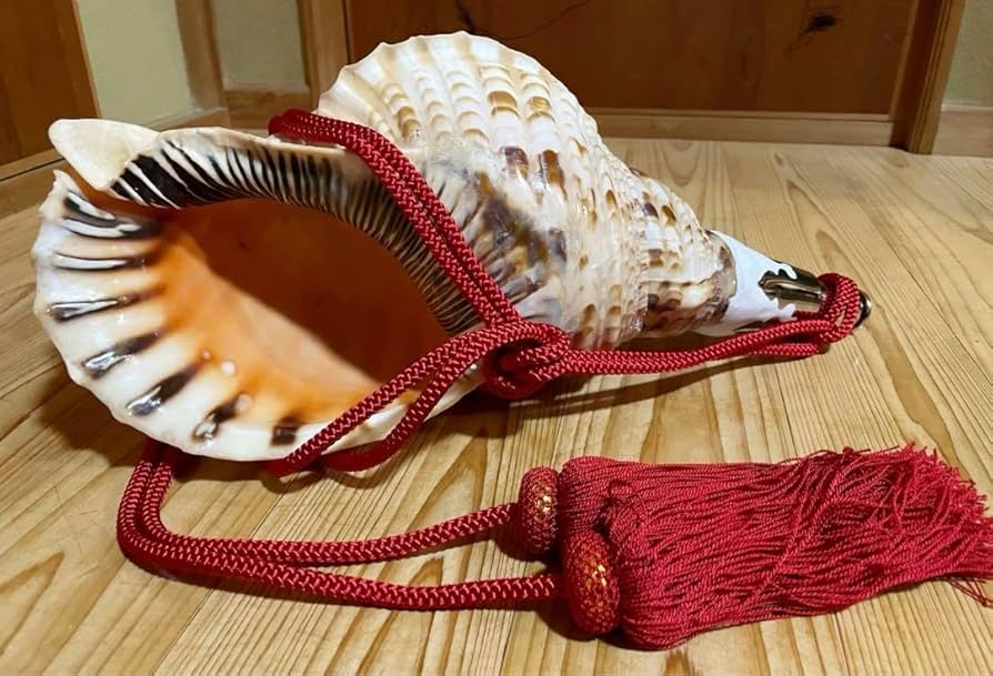 特大肉厚40.5㎝修験道法螺貝 山伏 密教 魔除け ホラガイ ほら貝 特大肉