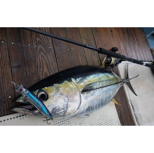 リップルフィッシャー/オーシャンリッジBIG TUNA 85F JAPAN special