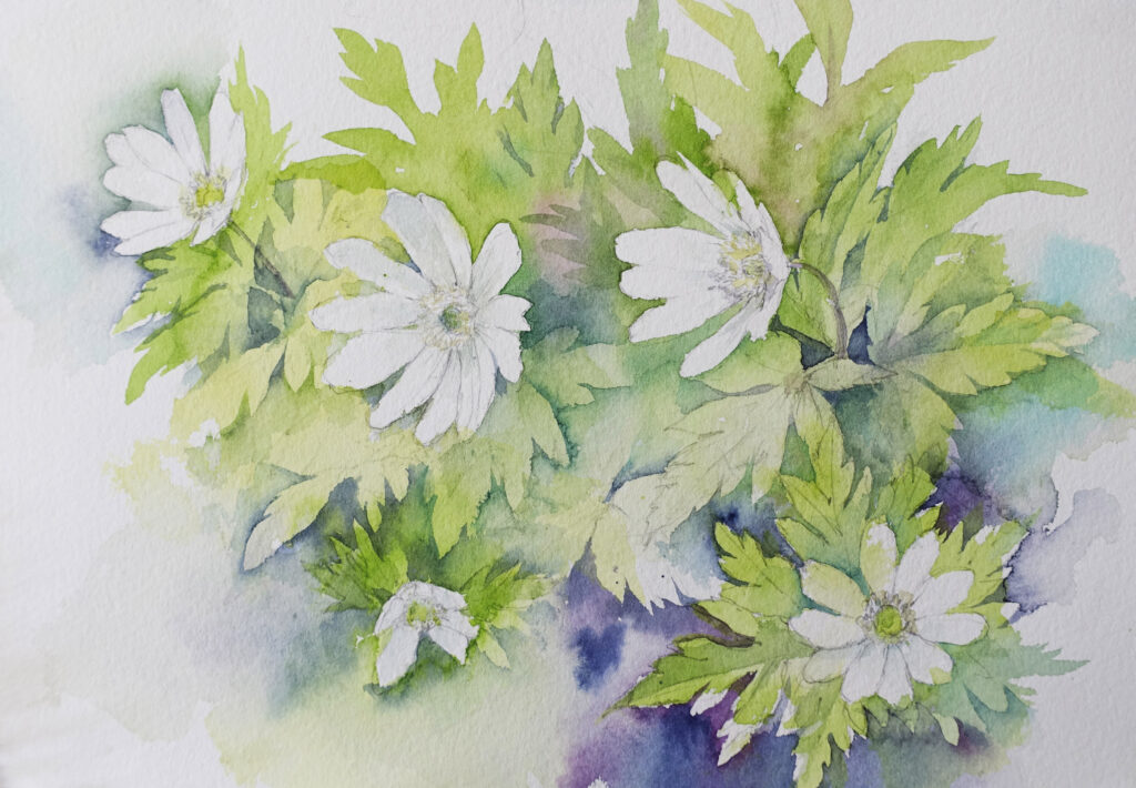 春山の花を描く – 本日もスケッチびより！