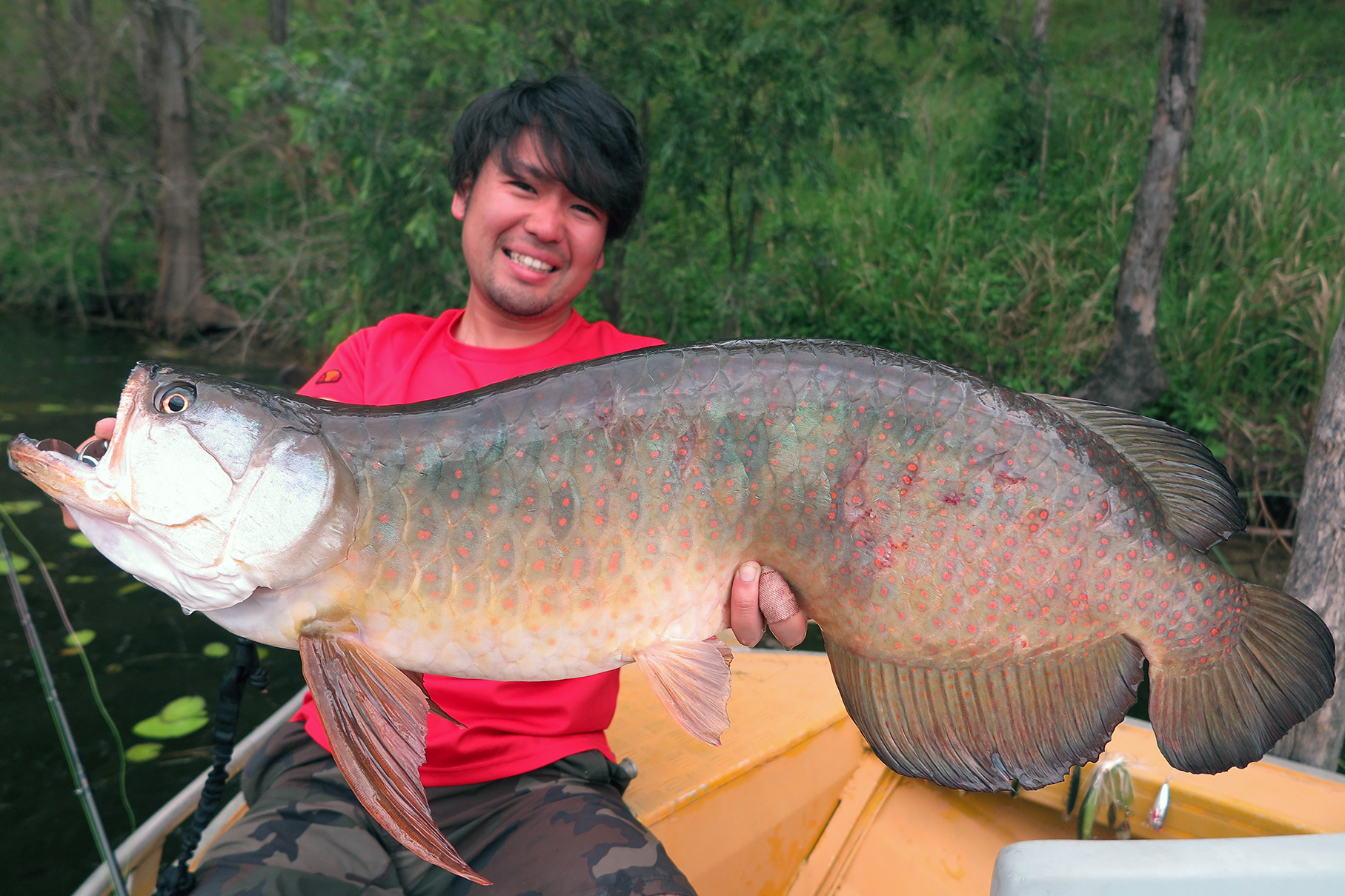 Dear Monster MX-6 - Monster Kiss モンスターキス