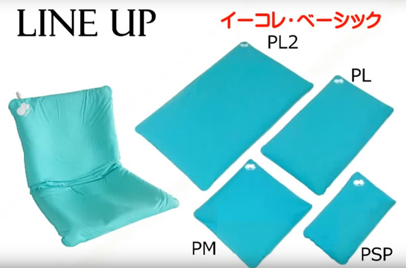 固定具クッション イーコレ・ベーシック【Cubeadsクッション,龍野