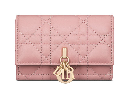 買い替えにおすすめ！ディオール新作財布＆カードケース4選 | Oggi.jp