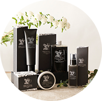 オッジィオット ディーアールエス ブラック SH / TR セット