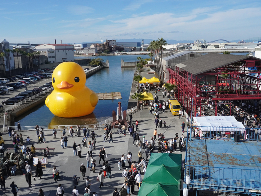 すみのえアート・ビート 2025」開催へ 巨大アヒル「ラバー・ダック