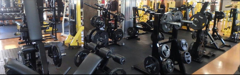 株式会社鍛錬、トレーニング機器の設計製造販売、ジム経営相談