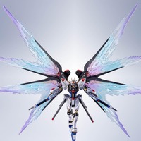 METAL ROBOT魂 ストライクフリーダムガンダム［Re:Coordinate］」専用