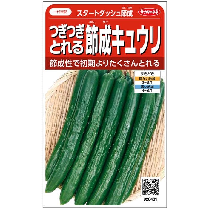 キュウリ スタートダッシュ節成｜種（タネ）,球根,苗,資材