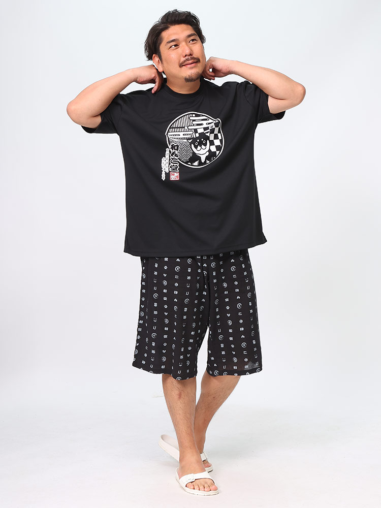 西武ライオンズ 半袖シャツ ハーフパンツ 上下セット Lサイズ 西武