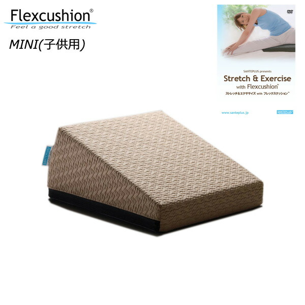 楽天市場】【15時迄の注文で即日出荷／日時指定必須】SANTEPLUS サンテ