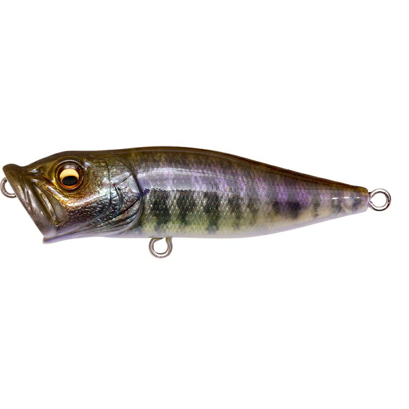 楽天市場】メガバス(Megabass) ポップX 【釣り フィッシング バス バス