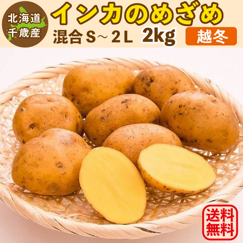 インカのめざめ 越冬 2kg（混合S〜2L）北海道 千歳産 じゃがいも
