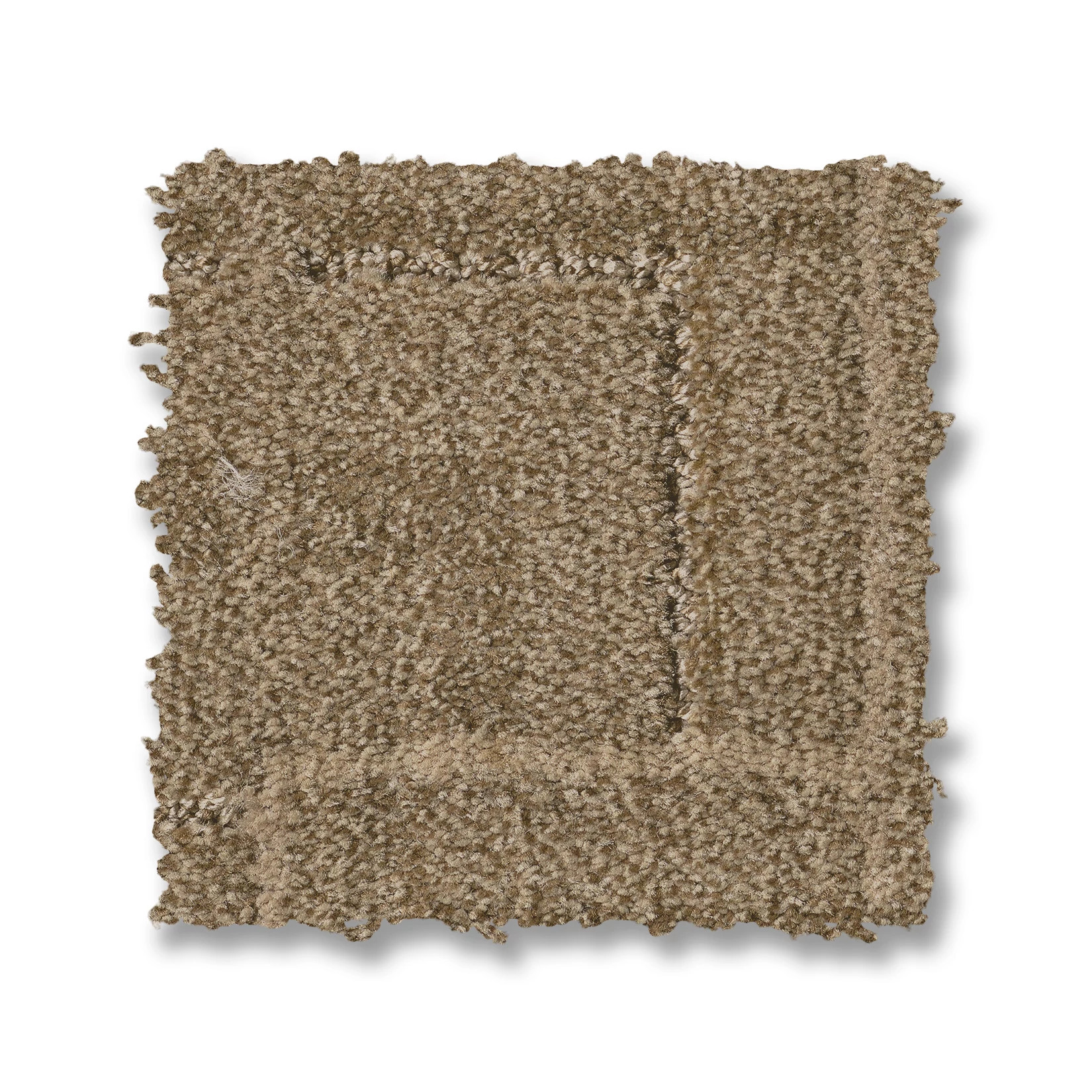 Path - 100% ANSO® High Performance Nylon in Plains | AndersonTuftex