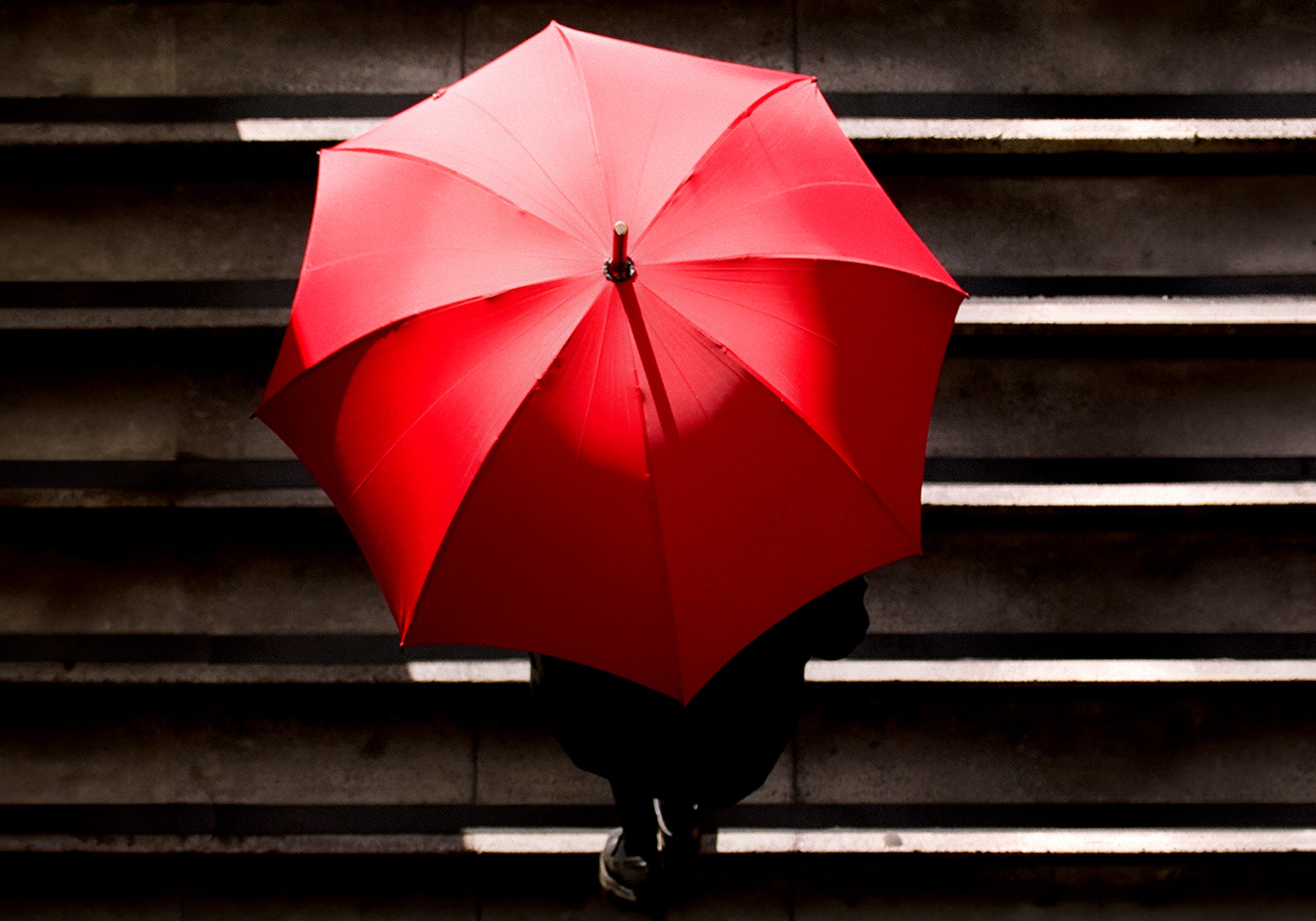 ブリッグ アンブレラ ケア |スウェイン