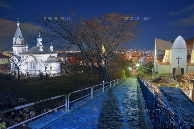 函館ハリストス正教会と函館聖ヨハネ教会と夜道[10428001036]の写真