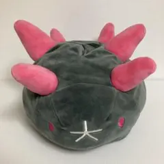 2026年最新】ナマコブシ ティッシュの人気アイテム - メルカリ